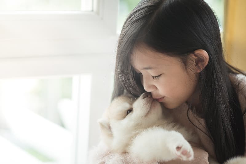 인천유기견센터 입양 대기견 — 실제 보호소 사진 9